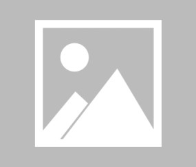 体育娱乐平台-Scout关键一传改写历史！爆冷击败德国队引爆全场，Scout关键一传改写历史，爆冷击败德国队引爆全场